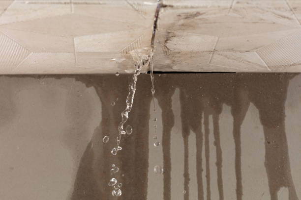 Professional Sewage Cleanup technician working in Portland, MI